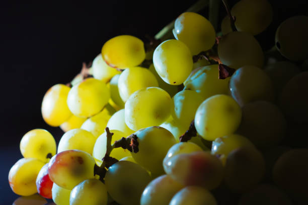 uvas encantadoras en cautivadora luz oscura. - arrepollado de las hojas fotografías e imágenes de stock