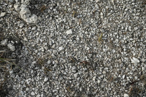 istock white and black small stones on the landscape 1648150381