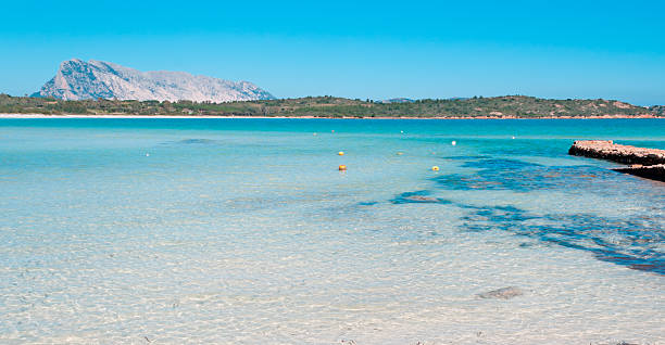 istock Brandinchi cove 164817034
