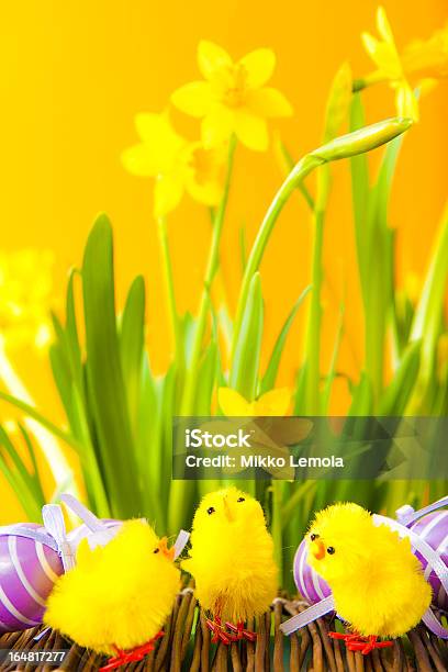 Huevos De Pascuas Pollos Y Las Flores Foto de stock y más banco de imágenes de Animal - Animal, Color vibrante, Con mucha Luz