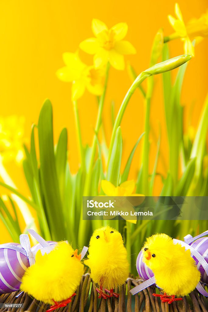부활제 에그스, Chicks 및 꽃 - 로열티 프리 0명 스톡 사진
