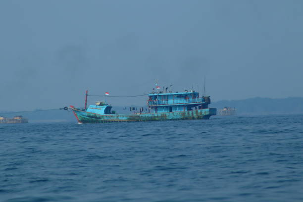 여객선 및 어선 - sailing ship passenger ship shipping cruise 뉴스 사진 이미지