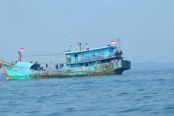 여객선 및 어선 - sailing ship passenger ship shipping cruise 뉴스 사진 이미지