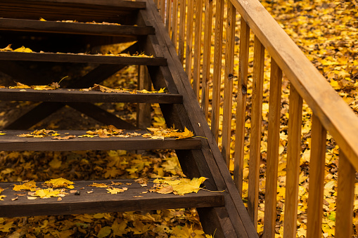 Stairs going uphill during autumn