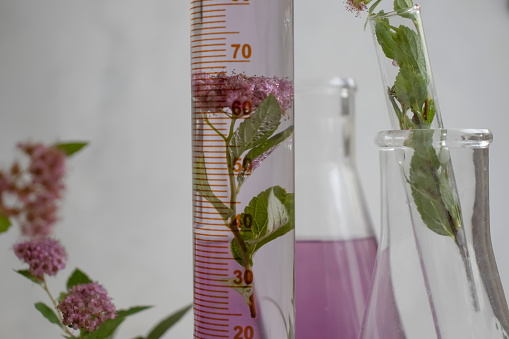 Laboratory flask with flowers background
