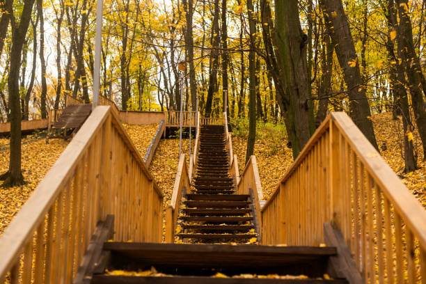 stairs in the autumn forest.