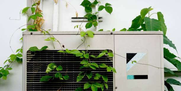 istock A old air conditioner with green leaves on the white wall, environment concept. 1648185138