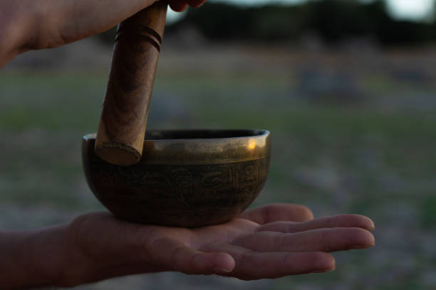 Tibetan singing bowl seen up close in nature