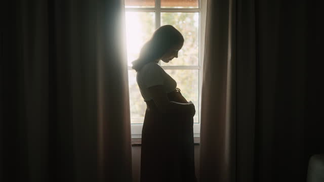 SLO MO Silhouette of Pregnant Woman Caressing her Belly Standing near Window at Home