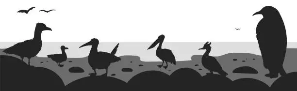 Vector illustration of Black silhouettes of various sea birds standing on coast flat style