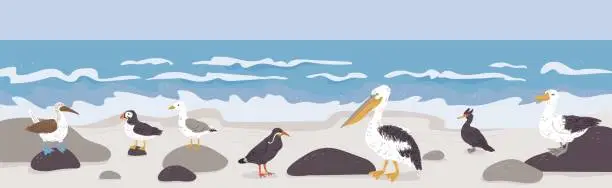 Vector illustration of Sea and beach landscape with various seabirds, flat vector illustration.