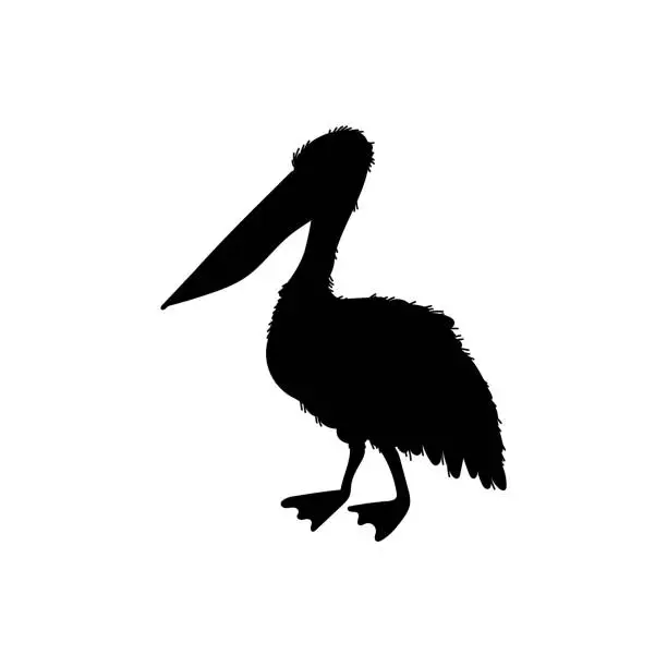 Vector illustration of Black silhouette of pelican sea bird flat style, vector illustration