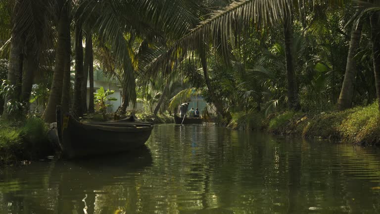 Travelers are sailing on a wooden canoe on a tropical wild river in Kerala on the island of Munroe. 4k footage.