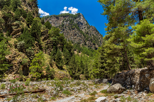 Towering vertical cliffs and a rocky, dry riverbed in the Samaria Gorge, Crete, Greece