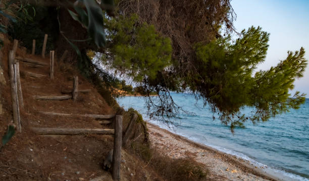 istock Wooden stairs leading to beach 1648206009