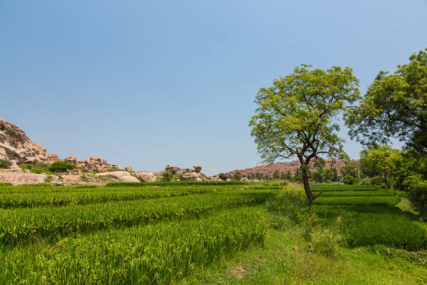 istock Rural scenery of Hampi, India 1648228401