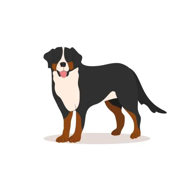 Vector illustration of Funny Appenzel Cattle Dog. Dogs collection. Vector illustration of cute breeds dogs in trendy flat style