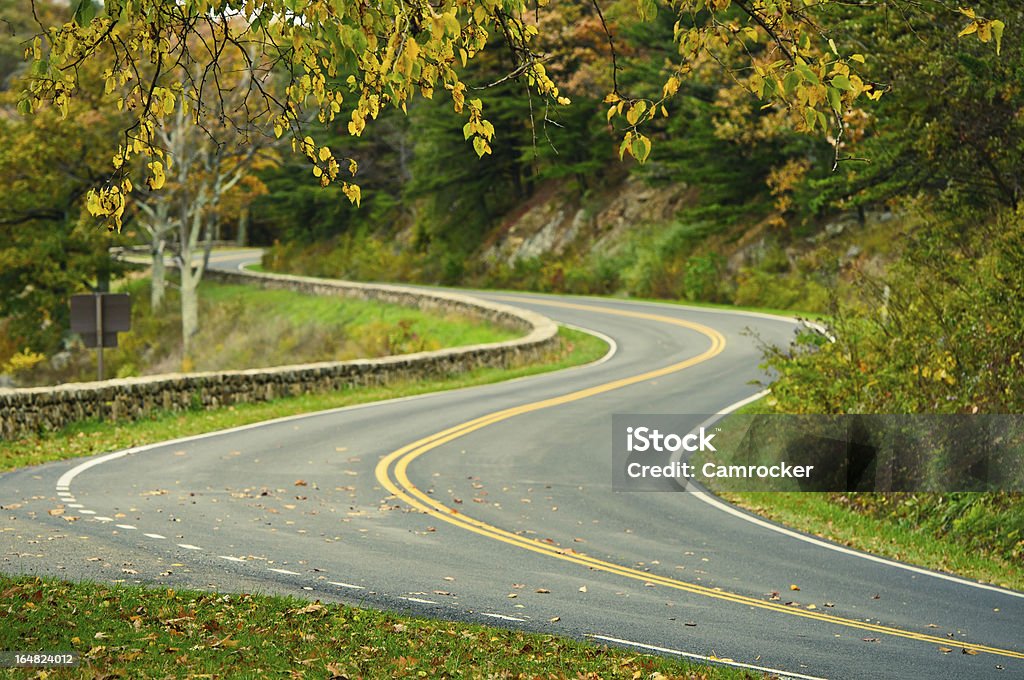 Herbst S-Curved Road - Lizenzfrei Baum Stock-Foto