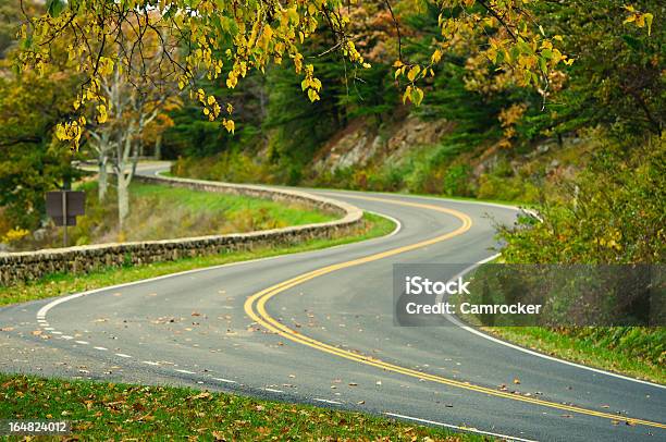 Herbst Scurved Road Stockfoto und mehr Bilder von Baum - Baum, Berg, Biegung