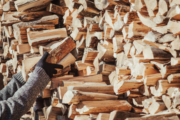 istock Stacking firewood, preparing for cold winter, toned photo 1648270648