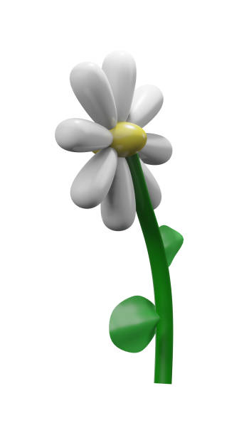 istock 3D illustration render forest chamomile flower with white petals on transparent background 1648275042