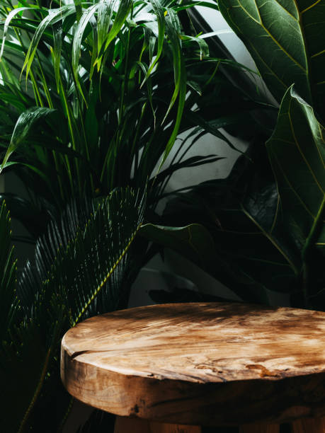 istock Table wood podium on green plant background, natural product present placement pedestal stand display,spring or summer concep 1648276708
