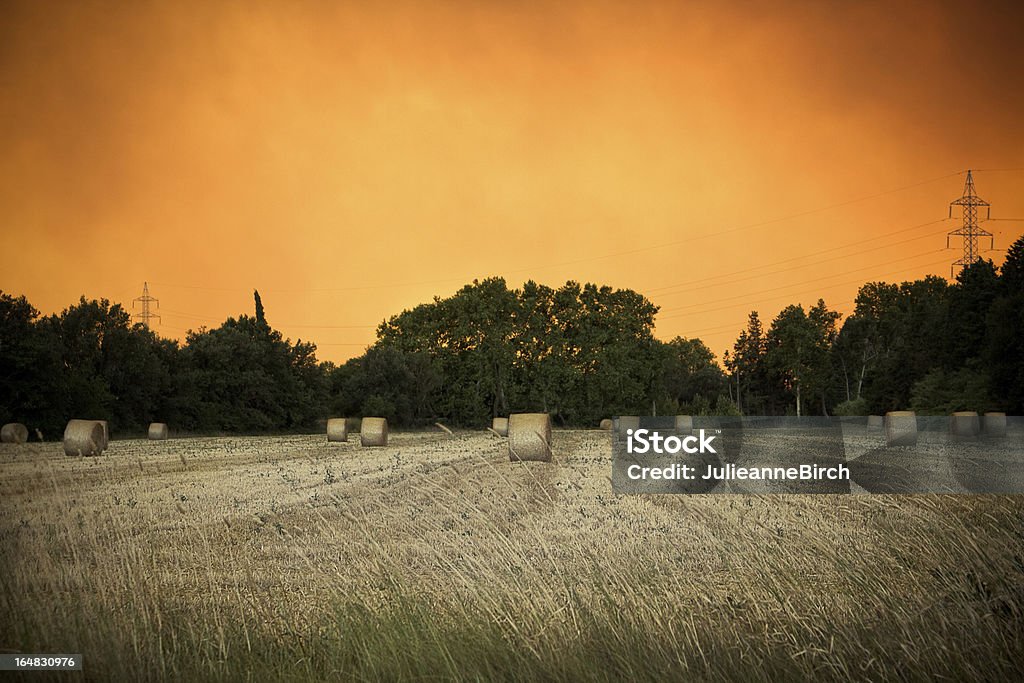 Céu de fogo - Foto de stock de Agricultura royalty-free