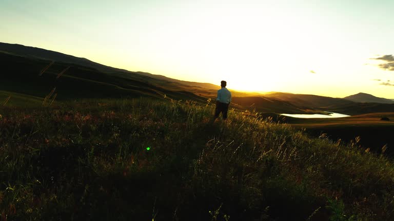 View from behind of a businessman standing in nature under evening sky