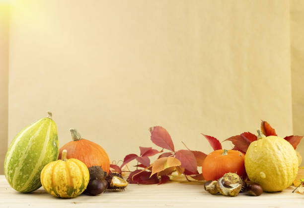 istock Photo with pumpkins, nuts, chestnuts and red leaves. 1648329790