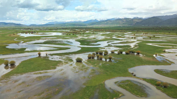 istock Nature of the Altai Mountains 1648332479
