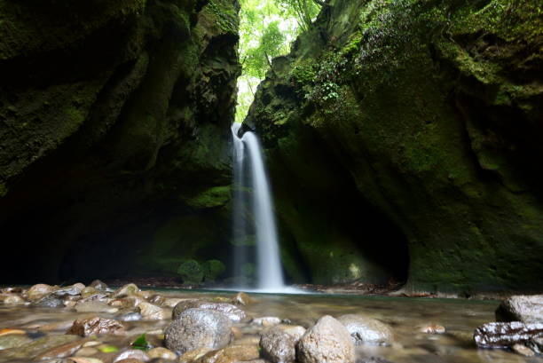 istock Beautiful view of Nagano Falls with mysterious moss 1648335731
