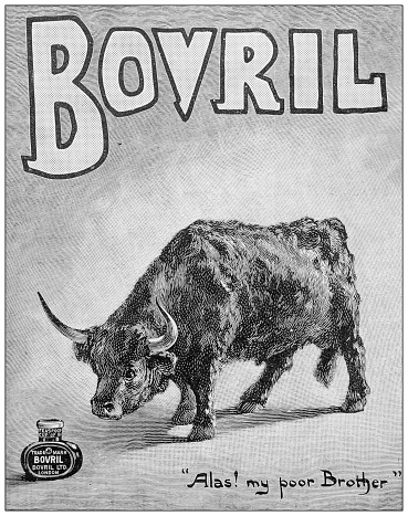 Antique image from British magazine: Bovril ad