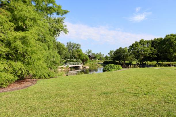 istock Footbridge in the Park 1648383501