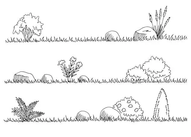 Vector illustration of Grass set graphic black white isolated sketch illustration vector