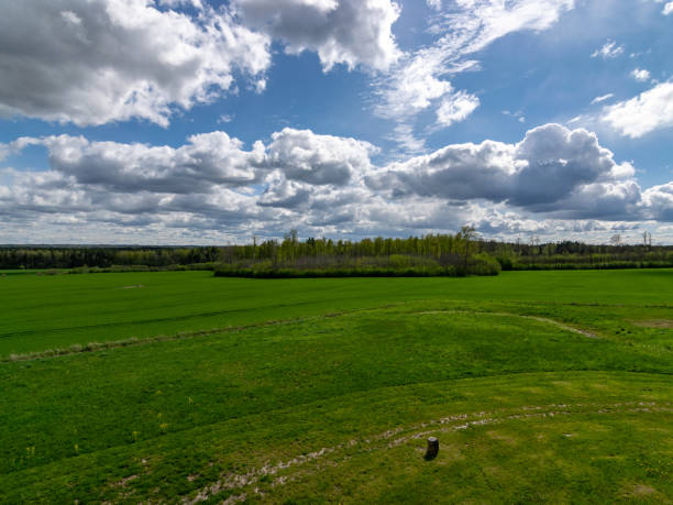 istock spring landscape with bright green grass and beautiful white cumulus clouds 1648423507