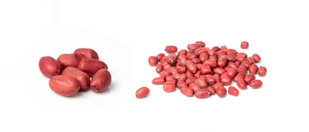 istock Peanuts Isolated, Roasted Arachis Nuts Pile, Heap of Pea Nut, Whole Groundnut with Shell, Macro Peanut 1648431125