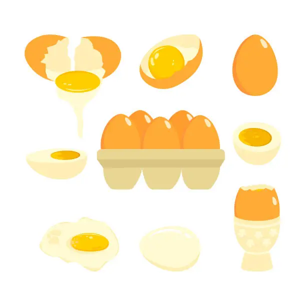 Vector illustration of Eggs set
