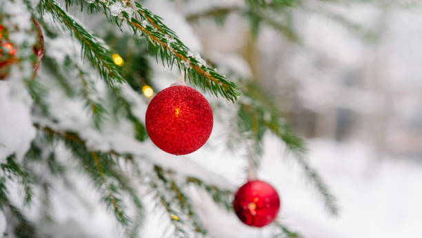 istock New Christmas Decoration 1648458326