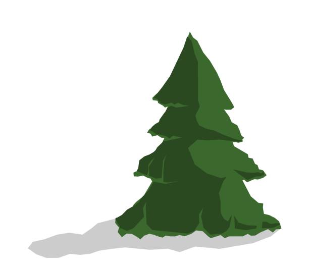 illustrations, cliparts, dessins animés et icônes de tree_without aperçu - tree cypress tree vector silhouette