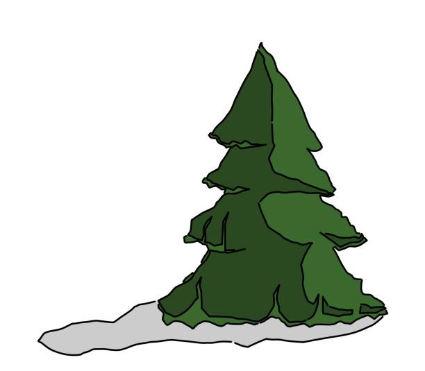 illustrations, cliparts, dessins animés et icônes de arbre - tree cypress tree vector silhouette