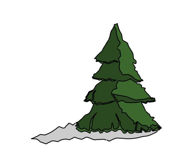 illustrations, cliparts, dessins animés et icônes de arbre - tree cypress tree vector silhouette