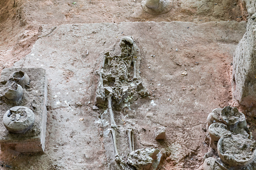 Human and dog skeletons with Dvaravati period items discovered in Si Thep Historical Park, Phetchabun Province, Thailand.