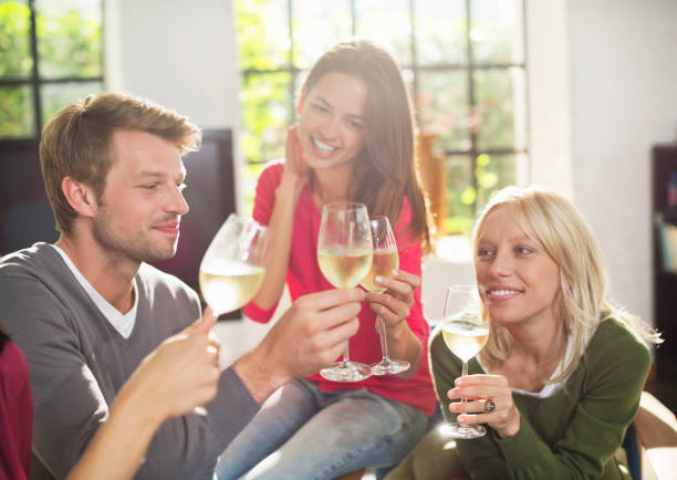 istock Friends toasting each other with wine 164851751