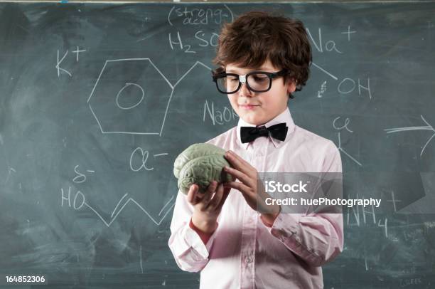 Foto de Menino Estudar Cérebro e mais fotos de stock de 10-11 Anos - 10-11 Anos, Aprender, Aula de Química