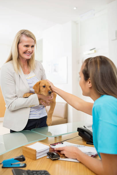 337 Veterinary Receptionist Stock Photos, Pictures & Royalty-Free Images -  iStock | Veterinary office, Veterinary team