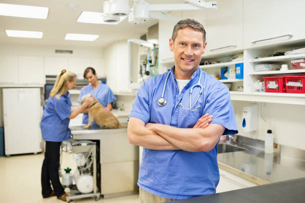 Smiling veterinarian standing in vet's surgery  animal hospital photos stock pictures, royalty-free photos & images