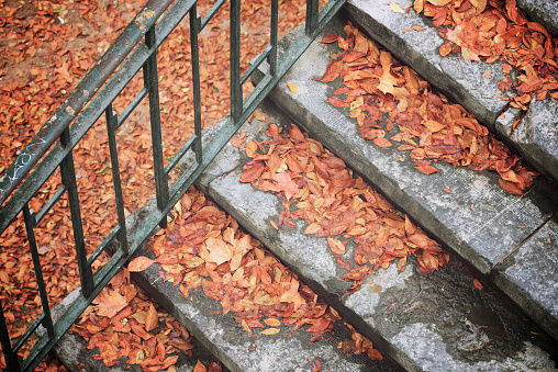 Autumn leaves fallen on a stone staircase.