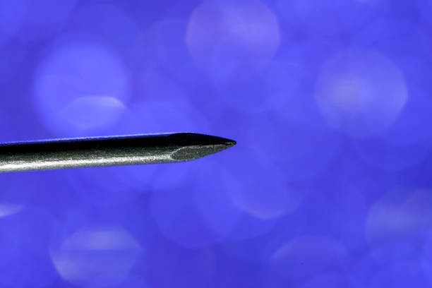 Needle in a hay stack,concept.  Sorghum bicolor straws with a sewing silver needle,  selective focus close up