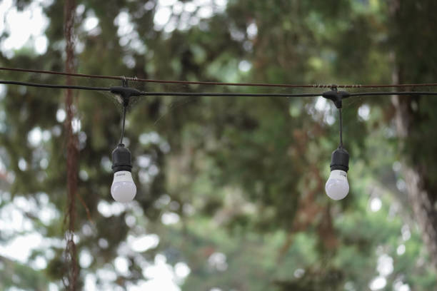 istock Two chandeliers in the garden 1648607786