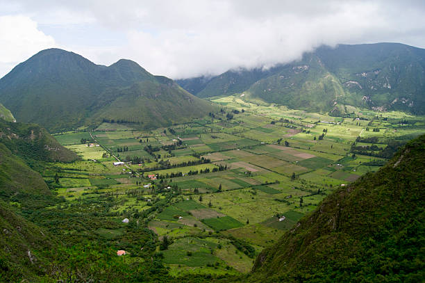 istock Pululahua Geo-botanical Reserve in Ecuador 164860876